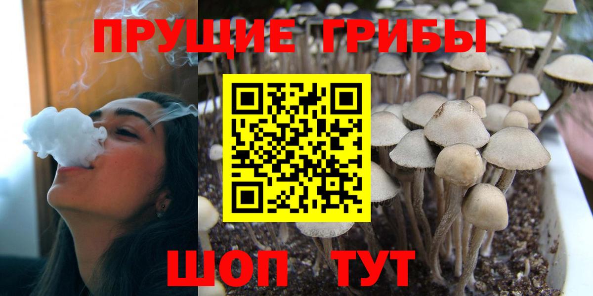 даркнет сайт  Галлюциногенные грибы Magic Shrooms  Вход с VPN  Псилоцибиновые грибы прущие грибы  Сегежа 