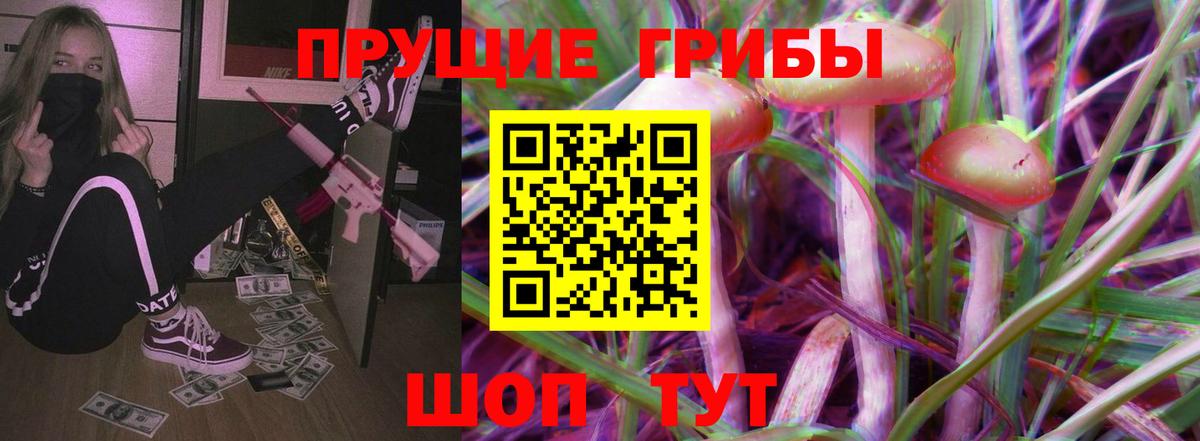Псилоцибиновые грибы Psilocybine cubensis Сегежа